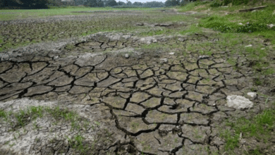 Ante la sequia, un hombre compra pipas de agua para verterlas en Laguna de Lagartos en Veracruz