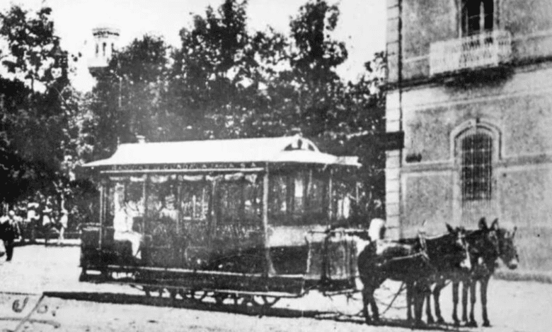 ¿Sabías que el primer tren en Orizaba era jalado por mulitas?