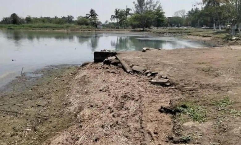 Lagunas de Veracruz se están secando por el fuerte calor