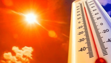 ¡Alerta en Veracruz! Se aproxima un domo de calor