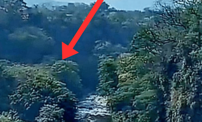 Misteriosa caída de un OVNI en Veracruz despierta intriga