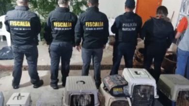 Fiscalía,