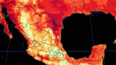 ¿Qué provoca las altas temperaturas en México?