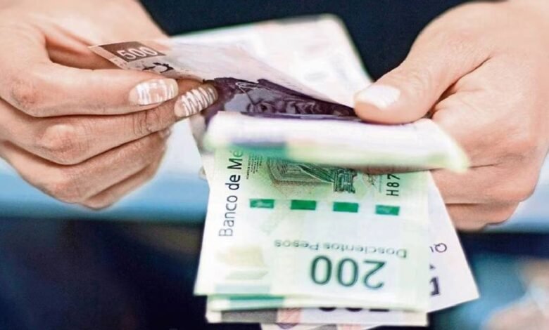 Repartod e utilidades 2024: ¿Cómo saber si se generó utilidades?