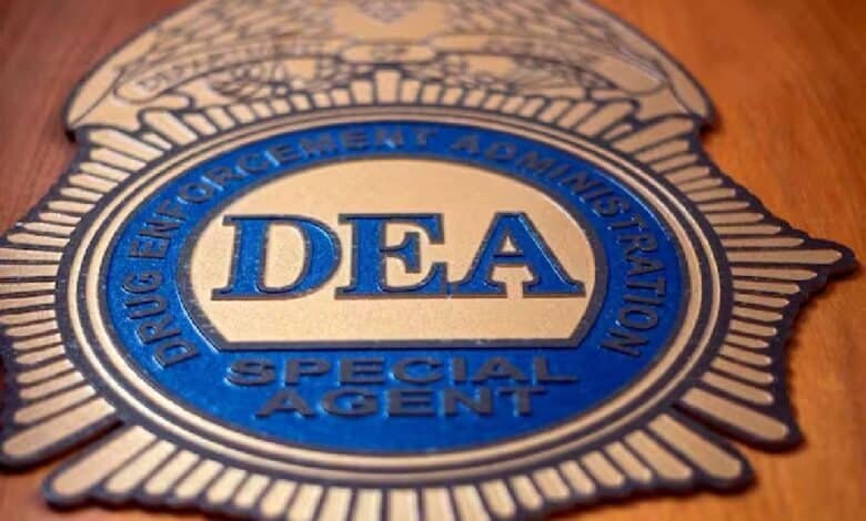 "Un refrito" el informe de la DEA sobre Cárteles mexicanos : AMLO