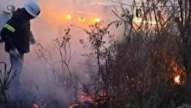 Incendios en reserva Río Lagartos en Yucatán causa afectaciones