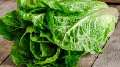 Estos son los 5 mejores alimentos para combatir el calor del verano