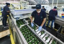 Se generaron 84.9 mil empleos formales en abril