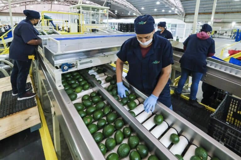 Se generaron 84.9 mil empleos formales en abril