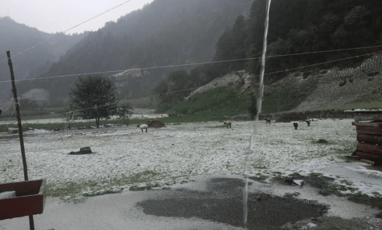 Video: Después de 2 meses, llueve y cae granizo en Coscomatepec y La Perla