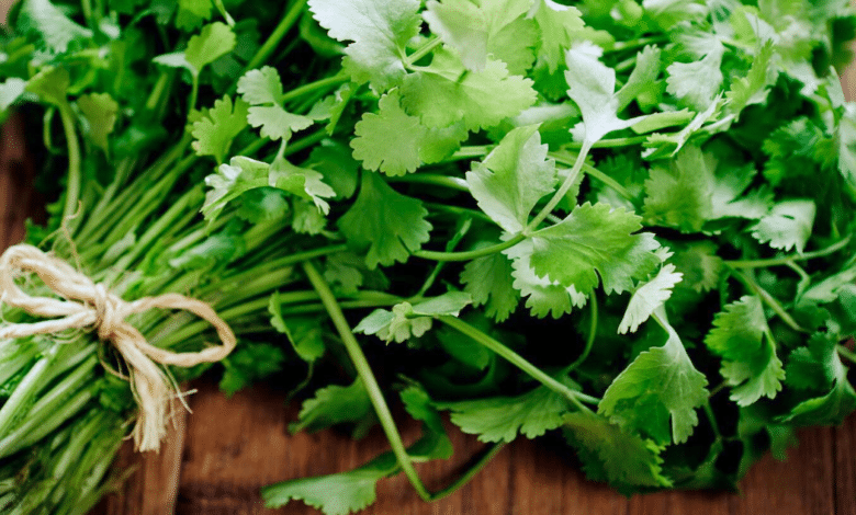 El precio del cilantro en México varía según la región. Según el Sistema Nacional de Información e Integración de Mercados (SNIIM), el precio por kilogramo en la Central de Abasto de Minatitlán, Veracruz, oscila entre 18 y 22 pesos, siendo 20 pesos el más común.  Sin embargo, los precios pueden fluctuar debido a factores como la sequía y las granizadas.