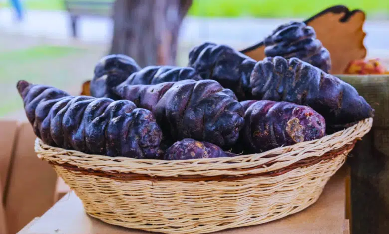 Mashua negra, el tubérculo ideal para acompañar carnes