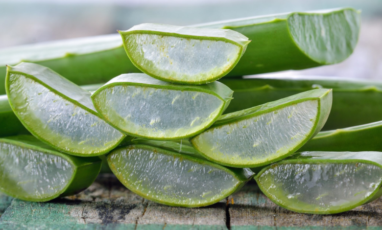 Propiedades y beneficios del aloe vera para la salud