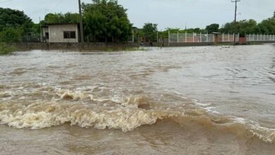 Calor y ondas tropicales; pronóstico del clima para los estados