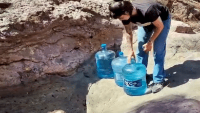 Rellenan jagueyes y pozos para salvar fauna en Nayarit