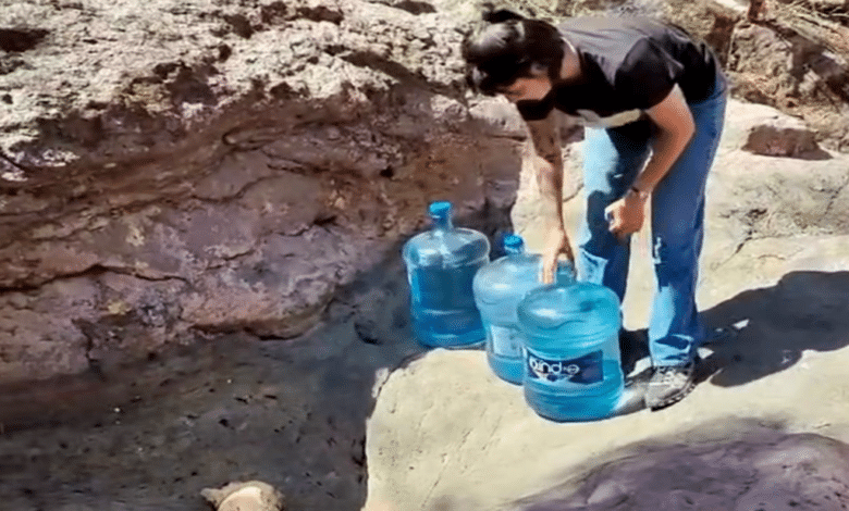 Rellenan jagueyes y pozos para salvar fauna en Nayarit