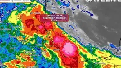 "Chris" se degrada a depresión tropical tras tocar tierra en Veracruz