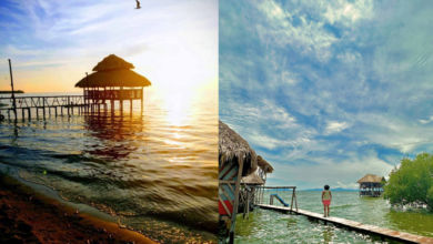 ¿Qué actividades se pueden hacer en Santa Brígida? Una hermosa bahía de Chiapas