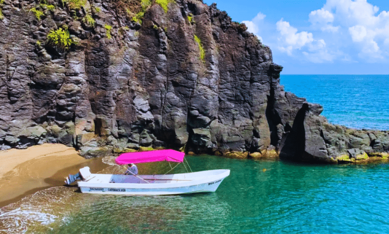 Playas de Veracruz y Boca del Río aptas para la temporada vacacional de verano