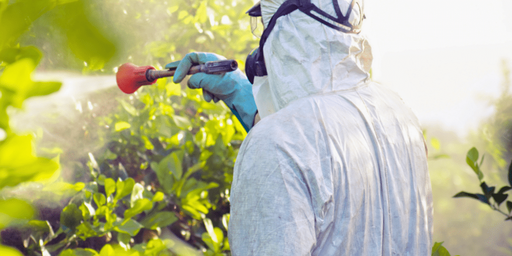 Veracruz ocupa el sexto lugar nacional en casos de intoxicación por plaguicidas
