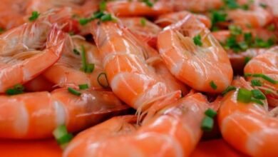 Atoyac, Veracruz se Prepara para el Festival del Langostino 2024