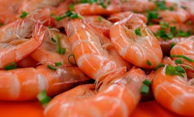 Atoyac, Veracruz se Prepara para el Festival del Langostino 2024