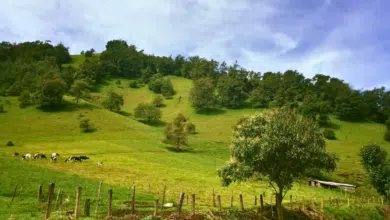 Descubre Acajete, un paraíso escondido en la zona rural de Veracruz