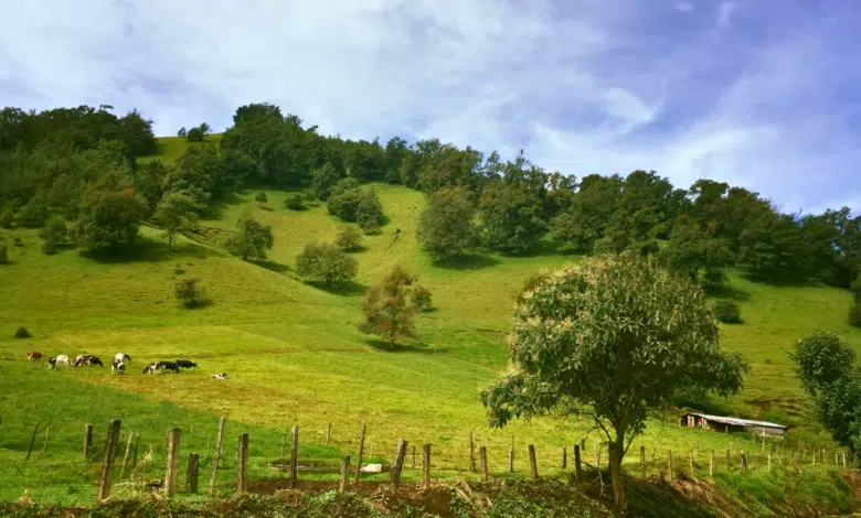 Descubre Acajete, un paraíso escondido en la zona rural de Veracruz