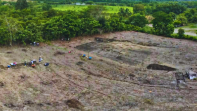 Descubren casa prehispánica en Morgadal, Papantla, durante construcción universitaria