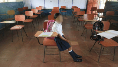 Estas son las colonias de Veracruz con mayor rezago educativo