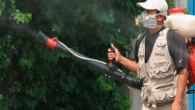 Veracruz en crisis segundo lugar nacional en defunciones por dengue