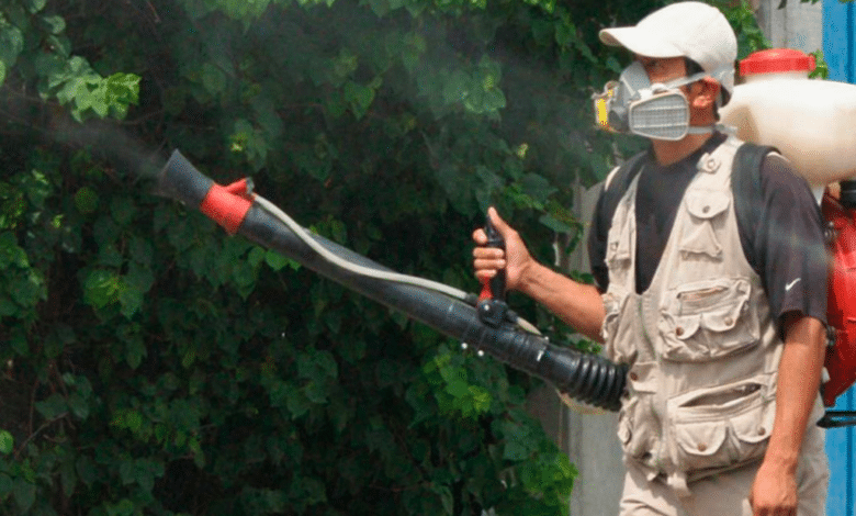 Veracruz en crisis segundo lugar nacional en defunciones por dengue