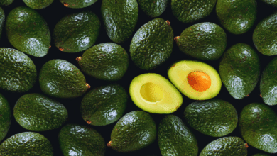 ¡Aguacate sube de precio! Nuevo aumento impacta a los consumidores en Veracruz