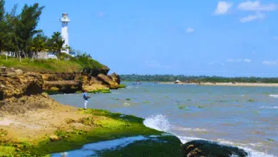 Barra de Cazones, un lugar paradisíaco en Veracruz