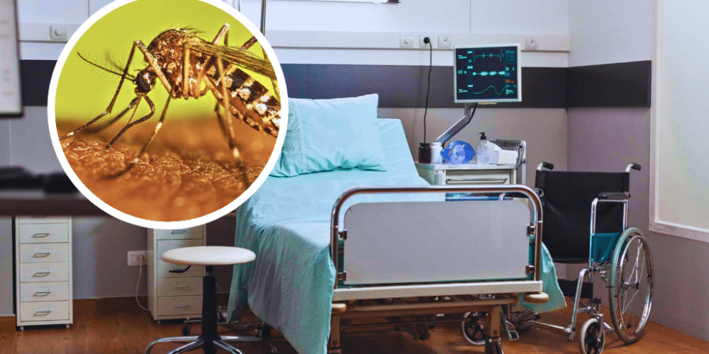 Cuatro municipios de Veracruz en alerta por alta incidencia de dengue