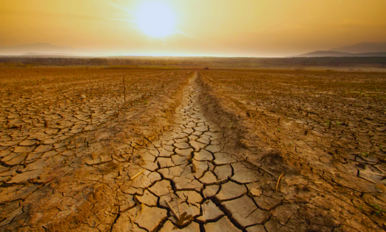 La Niña podría regresar con un 60% de probabilidad a finales de año