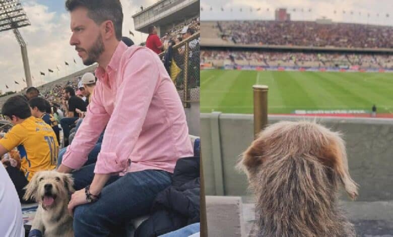 Comentarista rescata y adopta a perro en pleno partido de Liga MX