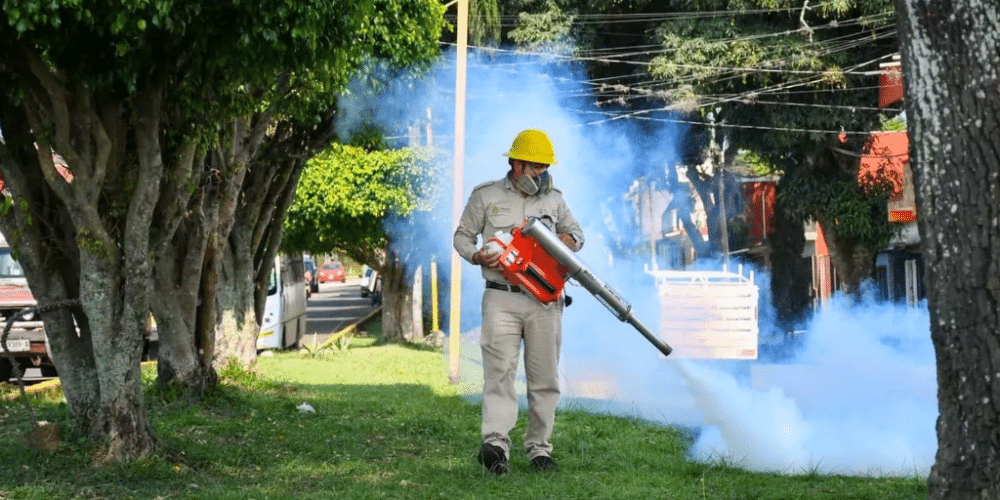 Refuerzan acciones para combatir el dengue ante aumento de casos en Veracruz