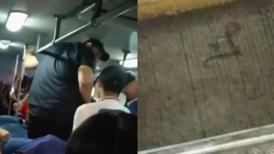 VIDEO Serpiente a bordo del transporte público en Veracruz causa pánico