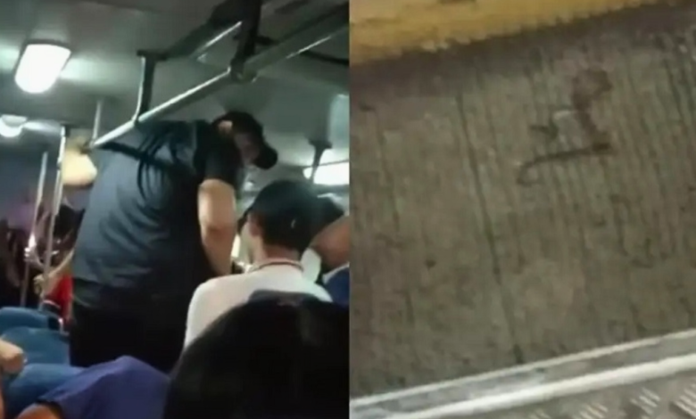 VIDEO Serpiente a bordo del transporte público en Veracruz causa pánico