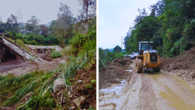 Colapso del Puente Tizizapa deja incomunicadas a más de 10 mil familias en Veracruz