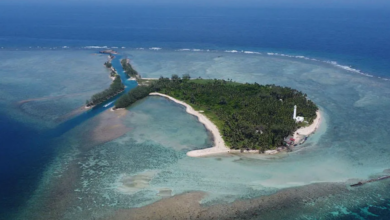 Isla Lobos