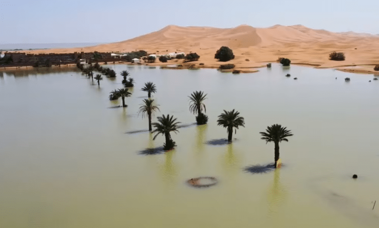 Desierto del Sahara inundado