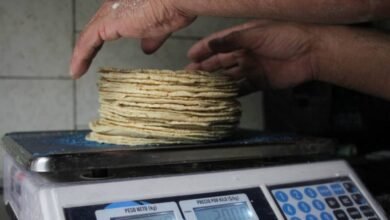 Gobierno de Sheinbaum va por bajar precio de la tortilla hasta 10%