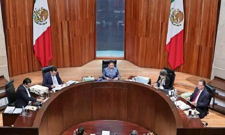 TEPJF perfila dar luz verde a INe para elección judicial