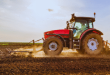 Veracruz, segundo lugar nacional en producción agropecuaria