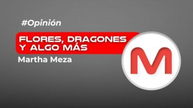 Flores, dragones y algo más…