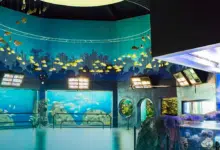 Acuario de Veracruz
