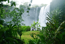 Conoce la cascada de Eyipantla, escenario de leyendas totonacas