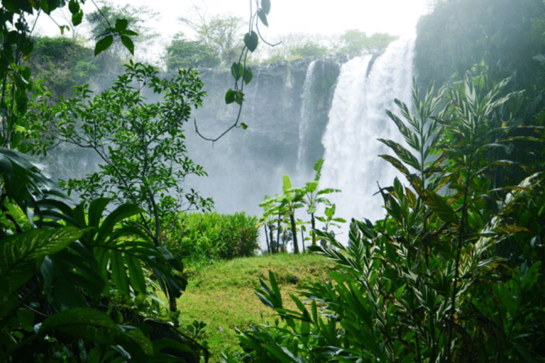 Conoce la cascada de Eyipantla, escenario de leyendas totonacas